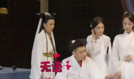 娱乐圈吃瓜爆料杨紫肖战,娱乐圈的甜蜜瓜田，揭秘他们的幕后故事